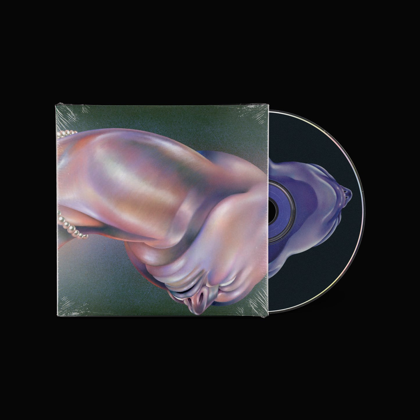 The Warping - CD